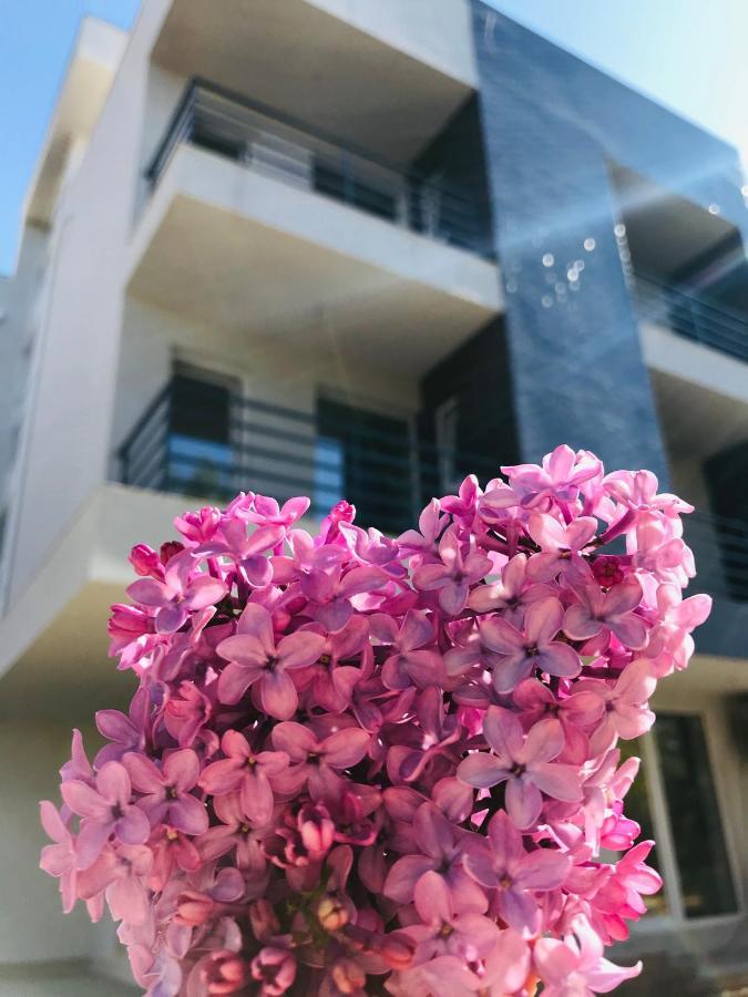 Pensiunea Casid เอโฟริเอนอร์ด ภายนอก รูปภาพ